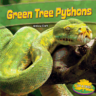 Green Tree Pythons (Up a Tree)