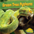 Green Tree Pythons (Up a Tree)