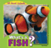 What's a Fish?