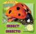 What's an Insect? / Que Es Un Insecto? (All About Animals / Todo Sobre Los Animales) (English and Spanish Edition)