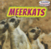Meerkats (Powerkids Readers: Safari Animals)