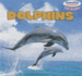 Dolphins (Powerkids Readers: Sea Friends)