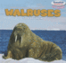 Walruses (Powerkids Readers: Sea Friends) [Library Binding]