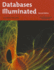 Databases Illuminated