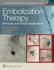 Embolization Therapy Principles and Clinical Applications (Hb 2015)