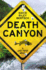 Death Canyon: a Jake Trent Novel