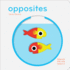 Touchthinklearn: Opposites