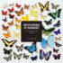 Encyclopedia of Rainbows: Our World Organized By Color (Color Book for Artists, Rainbow Guide, Art Books)