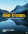 Solution-Focused Brief Therapy: a Multicultural Approach
