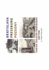 Bratislava Pressburg Pozsony: Jewish Secular Endeavors (1867-1938)
