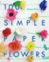 100 Simple Paper Flowers