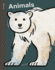 Spring Street Discover: Animals