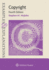 Examples & Explanations: Copyright