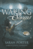 Waking Storms: Library Edition