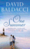 One Summer (Large type / large print)