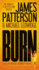 Burn (a Michael Bennett Thriller, 7)