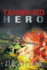 Tarnished Hero