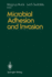 Microbial Adhesion and Invasion