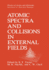 Atomic Spectra and Collisions in External Fields