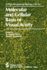 Molecular and Cellular Basis of Visual Acuity