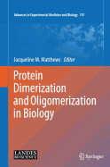 Protein Dimerization and Oligomerization in Biology