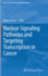 Nuclear Signaling Pathways and Targeting Transcription in Cancer