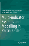 Multi-Indicator Systems and Modelling in Partial Order