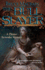 The Bull Slayer: a Plinius Secundus Mystery