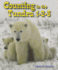 Counting in the Tundra 1-2-3 (All About Counting in the Biomes)