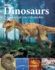Dinosaurs: a Visual Encyclopedia