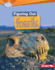 Figuring Out Fossils (Searchlight Books �-Do You Dig Earth Science? )