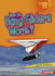How Do Hang Gliders Work? (Lightning Bolt Books: How Flight Works)