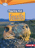 Figuring Out Fossils Format: Paperback