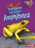 Endangered and Extinct Amphibians Format: Paperback