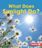 What Does Sunlight Do? Format: Paperback