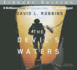 The Devil's Waters (a Usaf Pararescue Thriller, 1)
