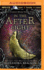 In the Afterlight