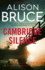 Cambridge Silence