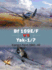 Bf 109e/F Vs Yak-1/7: Eastern Front 1941-42 (Duel, 65)