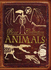Bone Collection: Animals