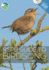 Rspb Guide to Birdsong