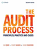 The Audit Process