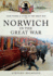 Norwich in the Great War (Your Towns and Cities in the Great War)