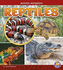 Animal Kingdom: Reptiles