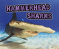All About Sharks: Hammerhead Sharks