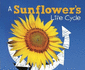 A Sunflower's Life Cycle (Pebble Plus: Explore Life Cycles)