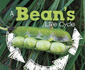 A Bean's Life Cycle (Explore Life Cycles) Dunn Mary, R.