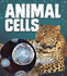 Genetics: Animal Cells