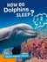Crazy Animal Facts: How Do Dolphins Sleep?