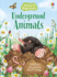 Animals Under the Ground (Beginners): 1